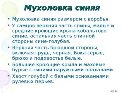 Інтерактивна вікторина - що це за птах позаурочна робота, презентації (вікторина) Інтерактивна вікторина - що це за птах позаурочна робота, презентації