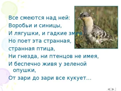 Інтерактивна вікторина - що це за птах позаурочна робота, презентації (птах) Інтерактивна вікторина - що це за птах позаурочна робота, презентації