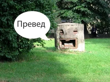 Інструкція до пошуку притулків го