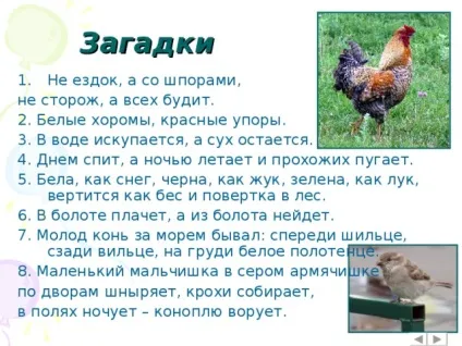 Інтерактивна вікторина - що це за птах позаурочна робота, презентації (вікторина) Інтерактивна вікторина - що це за птах позаурочна робота, презентації