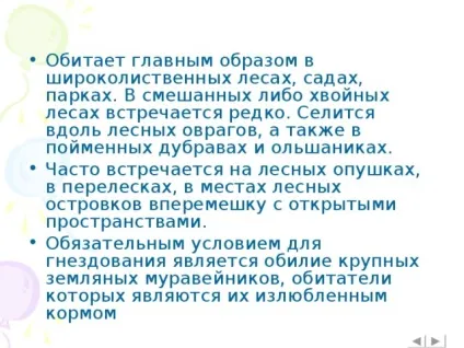 Інтерактивна вікторина - що це за птах позаурочна робота, презентації (вікторина) Інтерактивна вікторина - що це за птах позаурочна робота, презентації