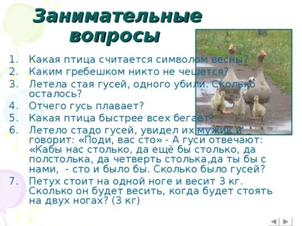 Інтерактивна вікторина - що це за птах позаурочна робота, презентації (позаурочна робота презентації інтерактивна вікторина & quot; що це за птах? & Quot;) Інтерактивна вікторина - що це за птах позаурочна робота, презентації