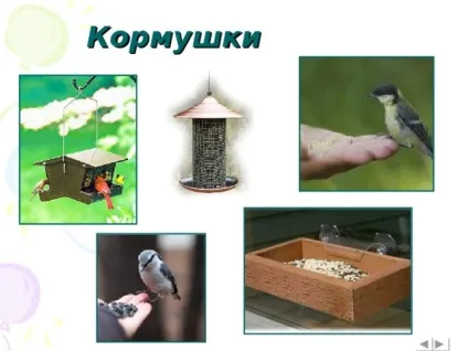 Інтерактивна вікторина - що це за птах позаурочна робота, презентації (позаурочна робота презентації інтерактивна вікторина & quot; що це за птах? & Quot;) Інтерактивна вікторина - що це за птах позаурочна робота, презентації