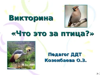 Інтерактивна вікторина - що це за птах позаурочна робота, презентації (птах) Інтерактивна вікторина - що це за птах позаурочна робота, презентації