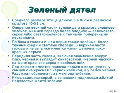 Інтерактивна вікторина - що це за птах позаурочна робота, презентації (птах) Інтерактивна вікторина - що це за птах позаурочна робота, презентації