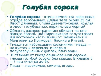 Інтерактивна вікторина - що це за птах позаурочна робота, презентації (птах) Інтерактивна вікторина - що це за птах позаурочна робота, презентації