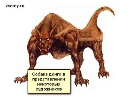 Цікаві факти про собак та цуценят різних порід (собаки) Цікаві факти про собак та цуценят різних порід
