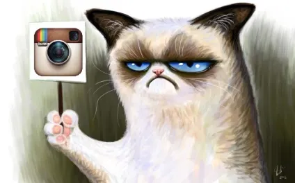 Массфолловінг в instagram, інстаграм