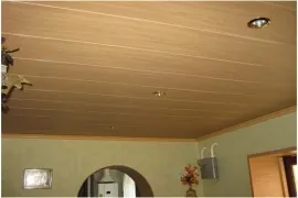З чого зробити стелю в гаражі (8 фото) (стелю) З чого зробити стелю в гаражі (8 фото)