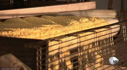 З чого роблять найпопулярніші чіпси pringles - Інфоманія (роблять) З чого роблять найпопулярніші чіпси pringles - Інфоманія