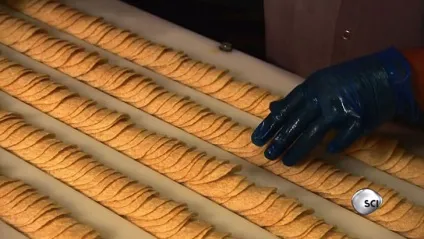 З чого роблять найпопулярніші чіпси pringles - Інфоманія (pringles) З чого роблять найпопулярніші чіпси pringles - Інфоманія