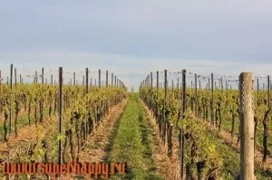 Як боротися з песимізмом (боротися) Як боротися з песимізмом