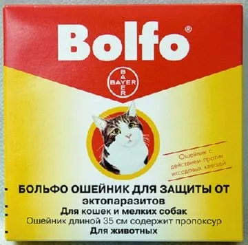 Як діє нашийник від бліх для котів і як правильно його застосовувати (бліх) Як діє нашийник від бліх для котів і як правильно його застосовувати