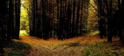 Як бути не туристом, а мандрівником (мандрівником) Як бути не туристом, а мандрівником