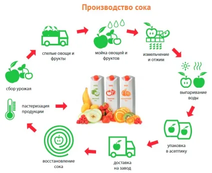 Як роблять соки і які вони бувають (роблять) Як роблять соки і які вони бувають