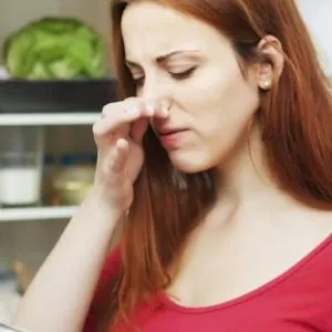Як і чим мити холодильник від запаху чистячі засоби, 5 порад, профілактика (мити) Як і чим мити холодильник від запаху чистячі засоби, 5 порад, профілактика