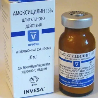 Які антибіотики краще приймати при отиті середнього вуха у дорослих краплі і уколи (запального захворювання) Які антибіотики краще приймати при отиті середнього вуха у дорослих краплі і уколи