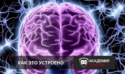 Як це влаштовано групове навчання (навчання грі в покер) Як це влаштовано групове навчання