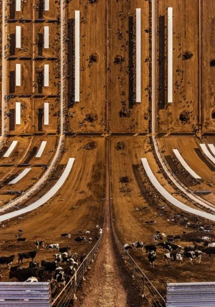 Як фотографувати inception-style drone фото, перекручена персектіва - цікаві статті про (статті та уроки про фотографії) Як фотографувати inception-style drone фото, перекручена персектіва - цікаві статті про