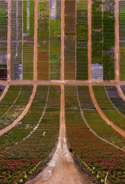 Як фотографувати inception-style drone фото, перекручена персектіва - цікаві статті про (drone) Як фотографувати inception-style drone фото, перекручена персектіва - цікаві статті про
