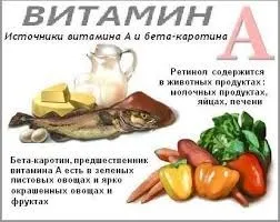 Які вітаміни давати собаці, мої домашні вихованці (які) Які вітаміни давати собаці, мої домашні вихованці