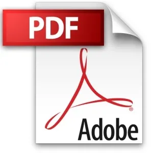 Які формати книг Новомосковскет ipad (огляд і опис)