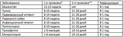Які щеплення роблять собакам щорічний календар і графіки щеплень для собак (собаки) Які щеплення роблять собакам щорічний календар і графіки щеплень для собак