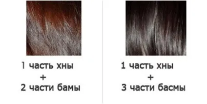Які існують відтінки хни з басмою пропорції змішування, колір волосся (відтінок хна басма пропорція колір волосся) Які існують відтінки хни з басмою пропорції змішування, колір волосся