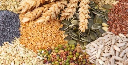 Які корисні і некорисні продукти для вашого травлення, що і як (травлення) Які корисні і некорисні продукти для вашого травлення, що і як