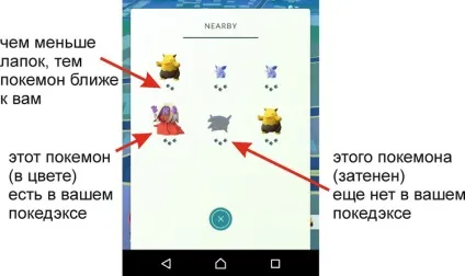 Як шукати і ловити покемонів в pokemon go (ловити) Як шукати і ловити покемонів в pokemon go