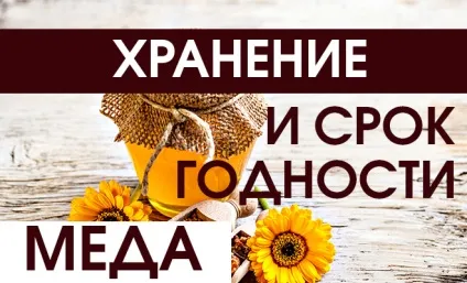 Як і де зберігати мед