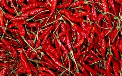Які корисні і некорисні продукти для вашого травлення, що і як (їжа) Які корисні і некорисні продукти для вашого травлення, що і як