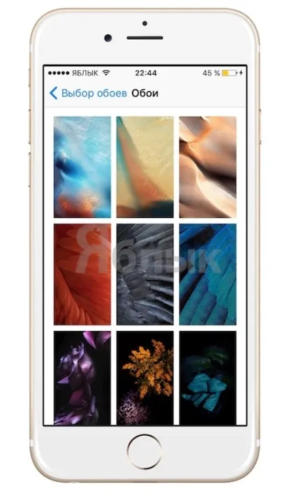 Як шукати, скачати і змінити шпалери на iphone, ipad і ipod touch, новини iphone, ipad і mac (новини про ipad) Як шукати, скачати і змінити шпалери на iphone, ipad і ipod touch, новини iphone, ipad і mac
