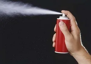 Як позбутися від молі в квартирі в домашніх умовах найефективніші методи (умовах) Як позбутися від молі в квартирі в домашніх умовах найефективніші методи