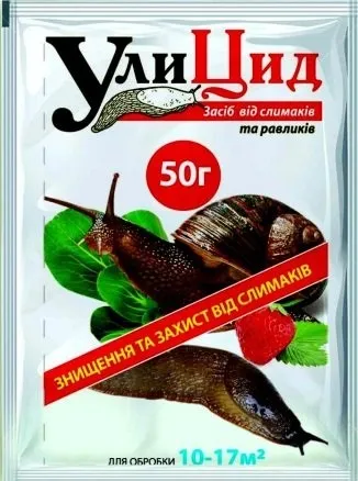 Як позбутися від слимаків (слимаків) Як позбутися від слимаків