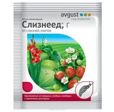 Як позбутися від слимаків (позбутися) Як позбутися від слимаків