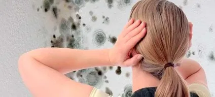 Як позбутися від цвілі на стінах своїми руками, все про ремонт
