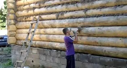 Як використовують лісовий мох в будівництві, правила його заготівлі та межвенцевое утеплення зрубу (утеплення зрубу) Як використовують лісовий мох в будівництві, правила його заготівлі та межвенцевое утеплення зрубу