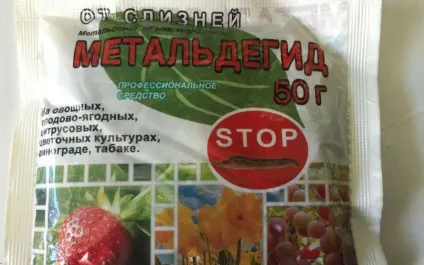 Як позбутися від слимаків в городі - башагропласт (позбутися) Як позбутися від слимаків в городі - башагропласт