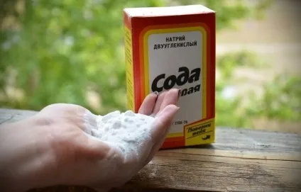 Як позбутися від чорної цвілі на стінах у квартирі або будинку (позбутися) Як позбутися від чорної цвілі на стінах у квартирі або будинку