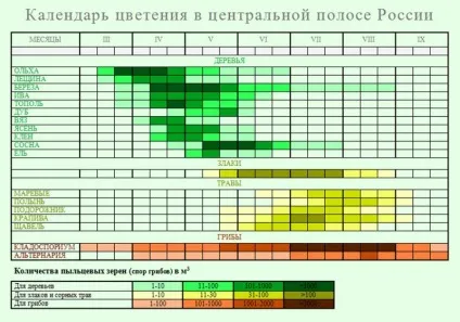 Як позбутися від алергії - рятуємося від весняного загострення