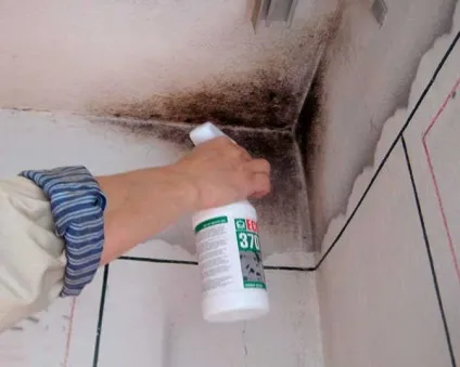 Як позбутися від цвілі на стінах своїми руками, все про ремонт
