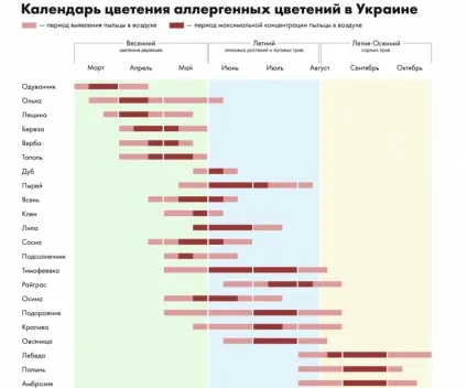 Як позбутися від алергії - рятуємося від весняного загострення