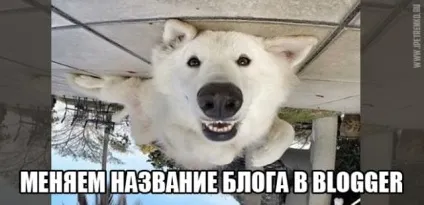 Як змінити назву блогу в blogger два кращих способу (змінити) Як змінити назву блогу в blogger два кращих способу