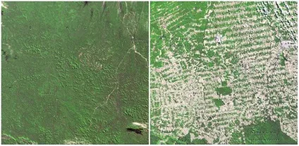 Як змінилася планета за 100 років знімки nasa - the jizn (зміна континентів планети фото) Як змінилася планета за 100 років знімки nasa - the jizn