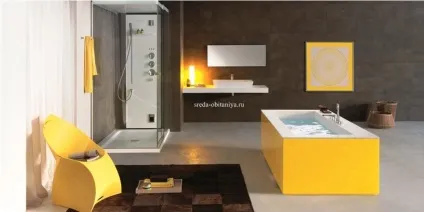 Як купити і вибрати кольорову ванну різнокольорові ванни (ванни) Як купити і вибрати кольорову ванну різнокольорові ванни