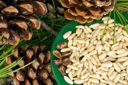 Як лікувати шлунок в домашніх умовах (лікувати) Як лікувати шлунок в домашніх умовах