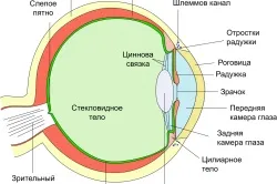 Як лікувати забій очі (Які бувають удари) Як лікувати забій очі