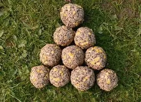Як ловлять великих лящів (великих) Як ловлять великих лящів