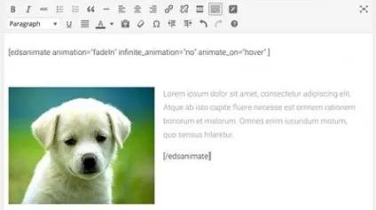 Як легко додати css анімацію в wordpress, cms і движки для сайтів